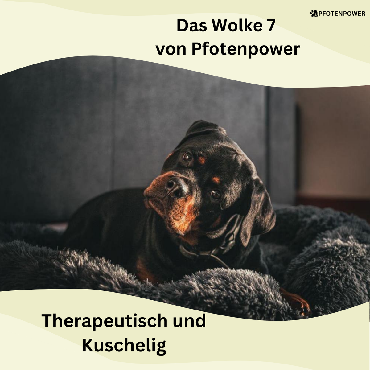 Therapeutisches und Kuscheliges Hundebett 